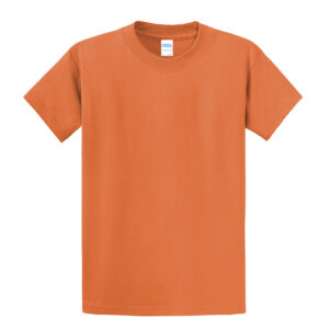 Tall Essential T-Shirt  -Orange Sherbet (PC61T)